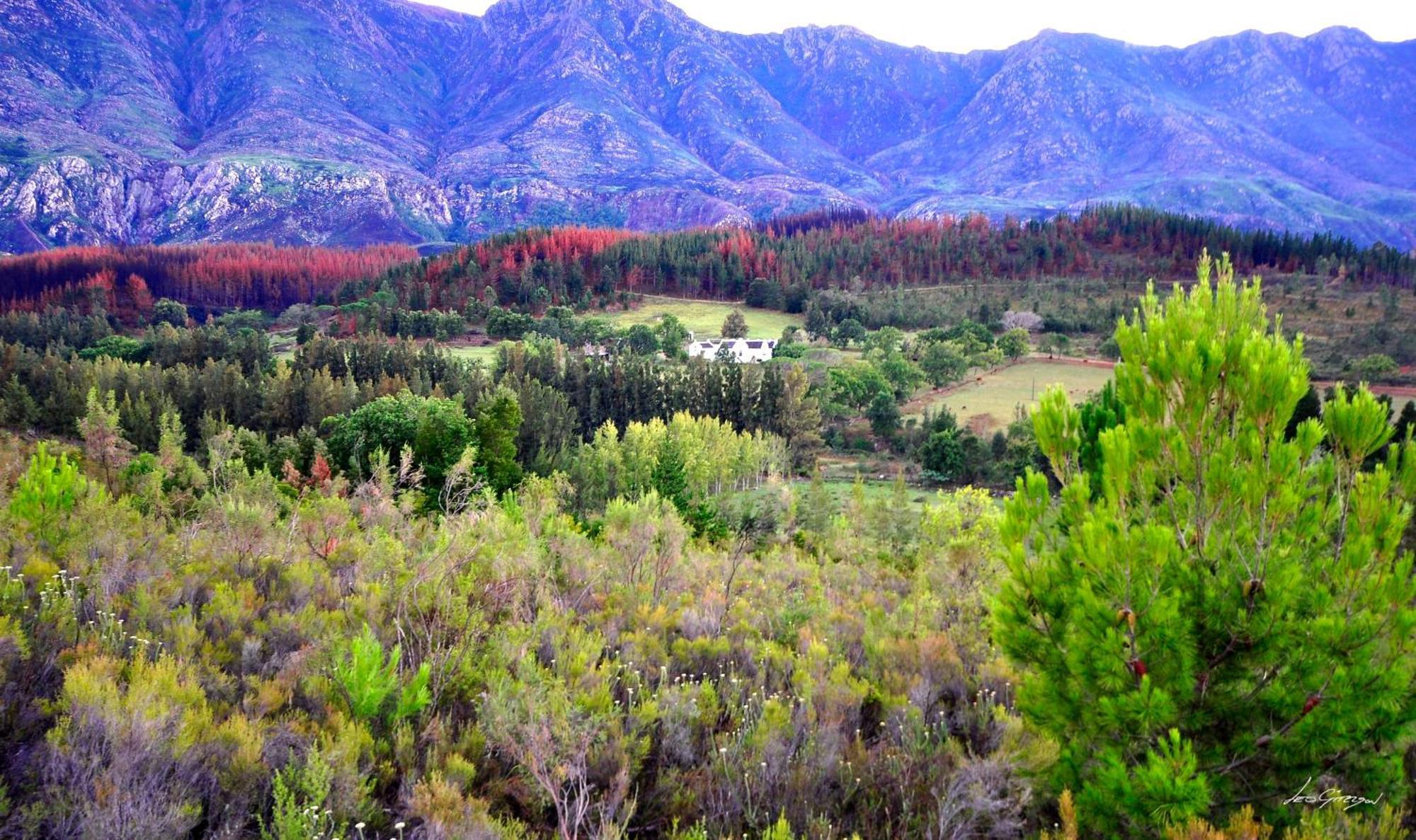 A Hilltop Country Retreat Swellendam Exterior photo