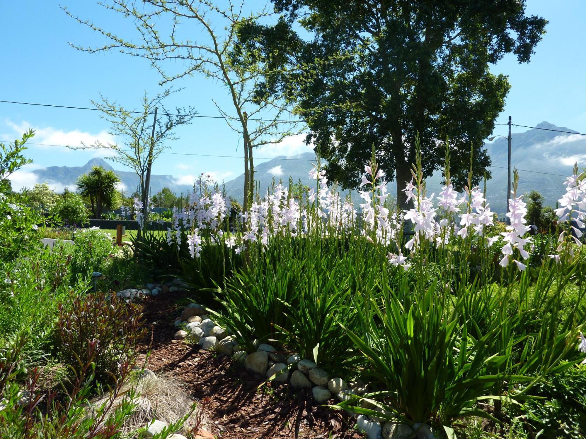 A Hilltop Country Retreat Swellendam Exterior photo